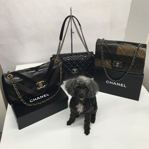 Meet your Posher, Sam